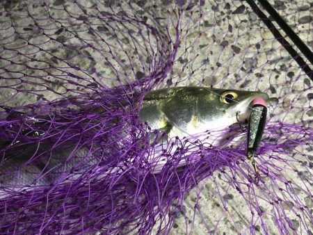 一瞬で始まり、一瞬で終わった