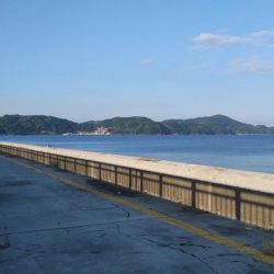 和歌山マリーナシティで投げ釣り