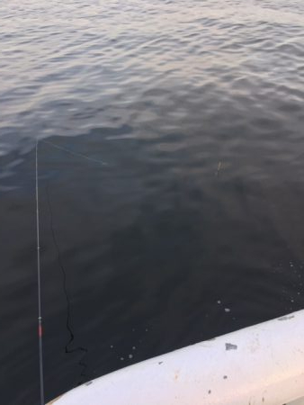 海釣り公園2日目