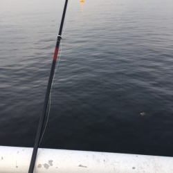 久々の海釣り園