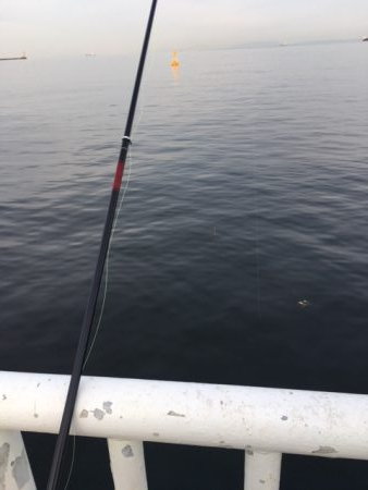 久々の海釣り園