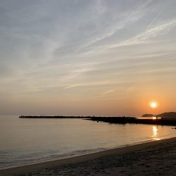 久々のキス釣り