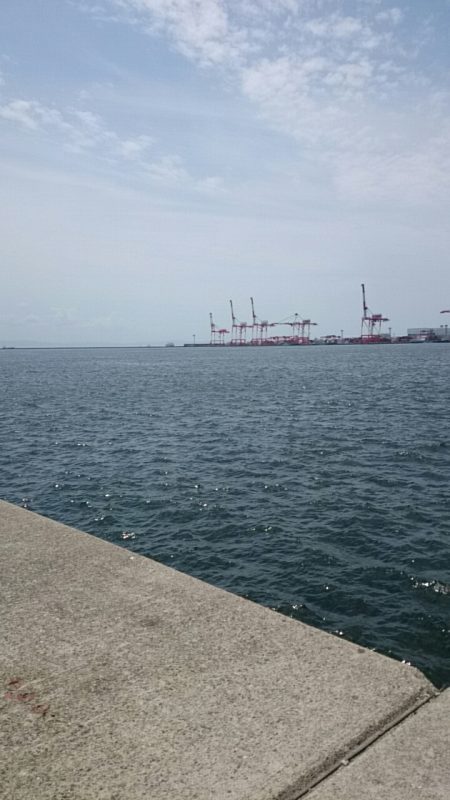 チーバスとシーバス