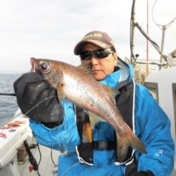 土佐安芸のハマちゃんの釣果