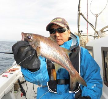 土佐安芸のハマちゃんの釣果