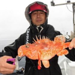 土佐安芸のハマちゃんの釣果