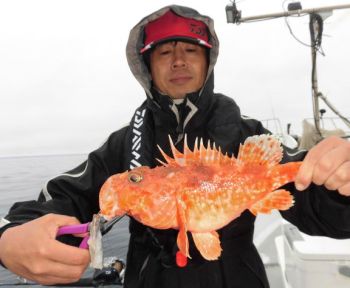 土佐安芸のハマちゃんの釣果