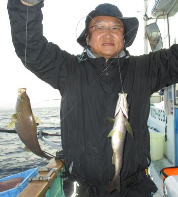 土佐安芸のハマちゃんの釣果