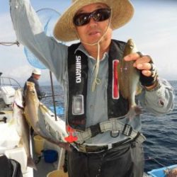 土佐安芸のハマちゃんの釣果