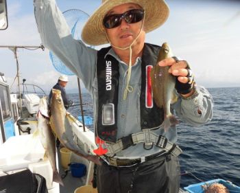 土佐安芸のハマちゃんの釣果