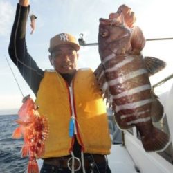 土佐安芸のハマちゃんの釣果