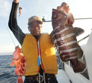土佐安芸のハマちゃんの釣果