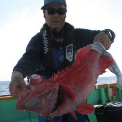 土佐安芸のハマちゃんの釣果