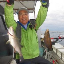 土佐安芸のハマちゃんの釣果