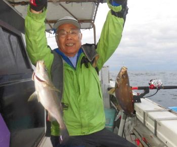 土佐安芸のハマちゃんの釣果
