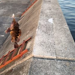 ライトワインド