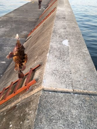 ライトワインド