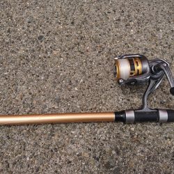 食べ頃アジゲット