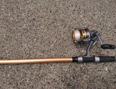 食べ頃アジゲット