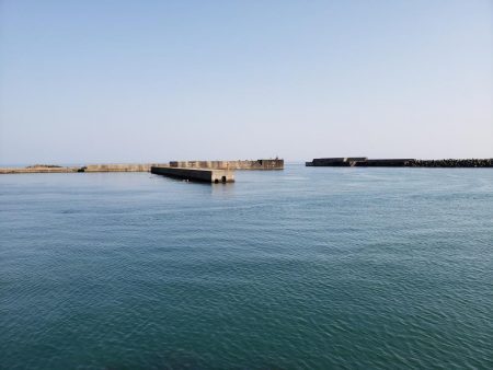 左右揃いました