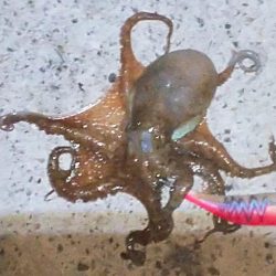 キミはいたんだね