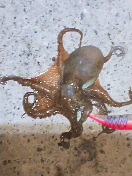 キミはいたんだね