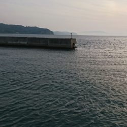 ウマズラゲット