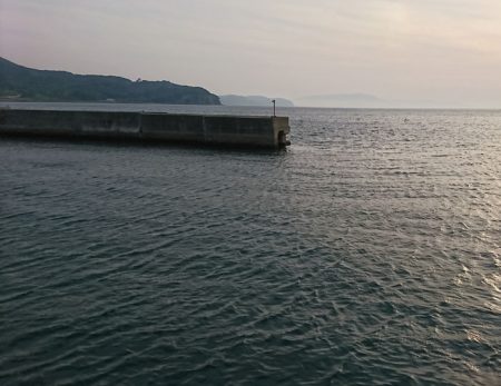 ウマズラゲット