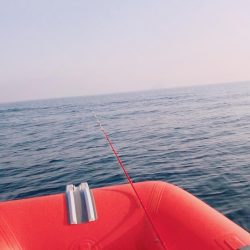 絶好の釣り日和