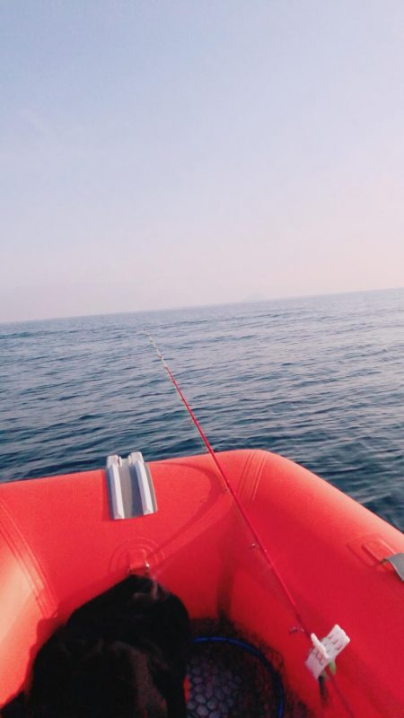 絶好の釣り日和