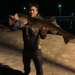 のませ釣り!シーバス80超え!