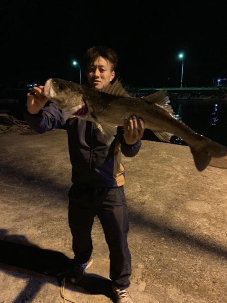 のませ釣り!シーバス80超え!