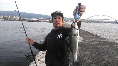 今季初シーバス