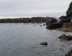 長雨の影響で不調