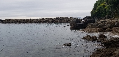 長雨の影響で不調