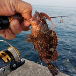 久しぶりの明石