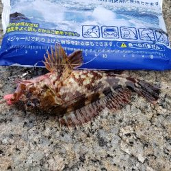 デイロックフィッシング