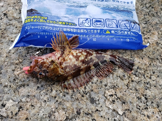 デイロックフィッシング