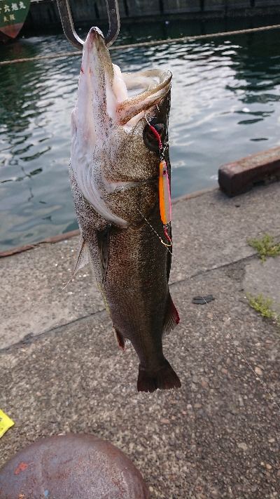 やっと停泊船ゲームだよ