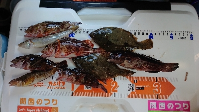 ゴールデンウィーク後半、令和元年、初釣り