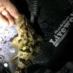 年号またぎアジング笑