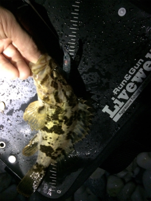 年号またぎアジング笑