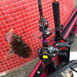 令和初釣行津田一文字ガシラ爆釣ポイント