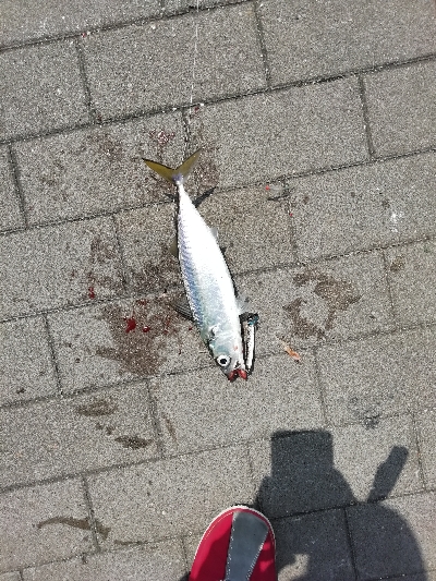 奇跡起きました！