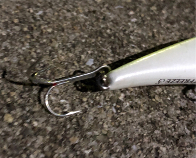 ビーフリーズでシーバス