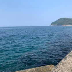 GWアオリイカ釣果！