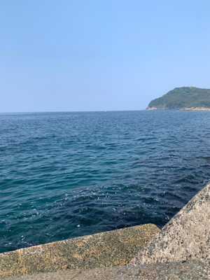 GWアオリイカ釣果！