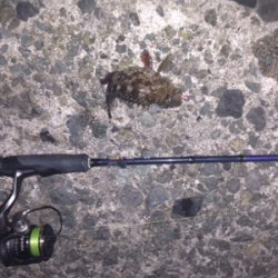 平成最後のライトゲーム