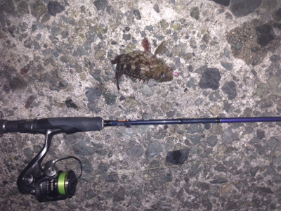 平成最後のライトゲーム