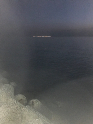 アジングのはずが?